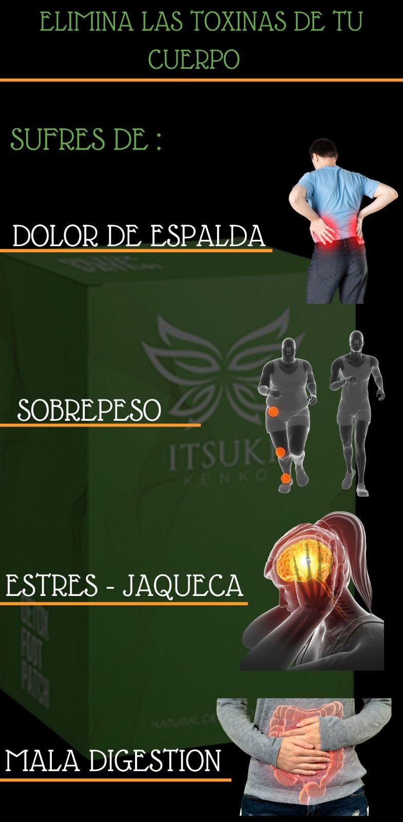 🌿 𝑵𝑼𝑬𝑽𝑶 𝑷𝑨𝑹𝑪𝑯𝑬 𝑫𝑬𝑺𝑰𝑵𝑻𝑶𝑿𝑰𝑪𝑨𝑵𝑻𝑬 - 𝑰𝑻𝑺𝑼𝑲𝑰 𝑲𝑬𝑵𝑲𝑶 🌿