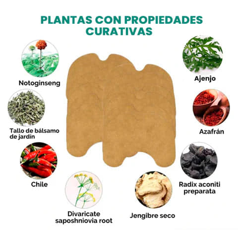 Parches Dolor Lumbar Vertebra